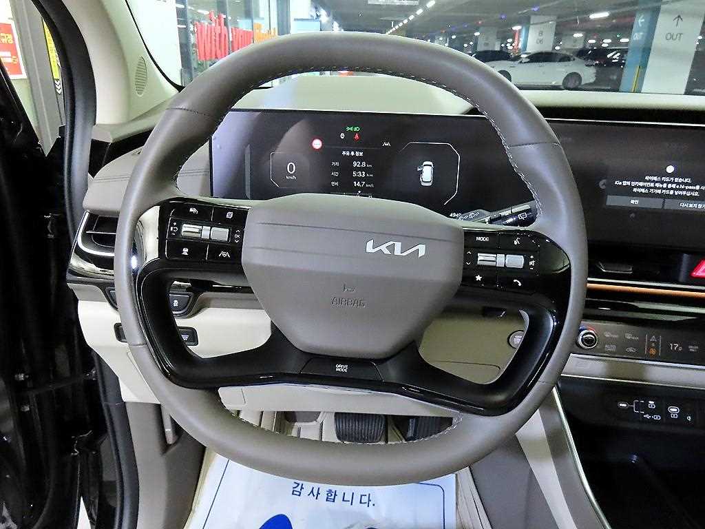 KIA Carnival - Vista 8