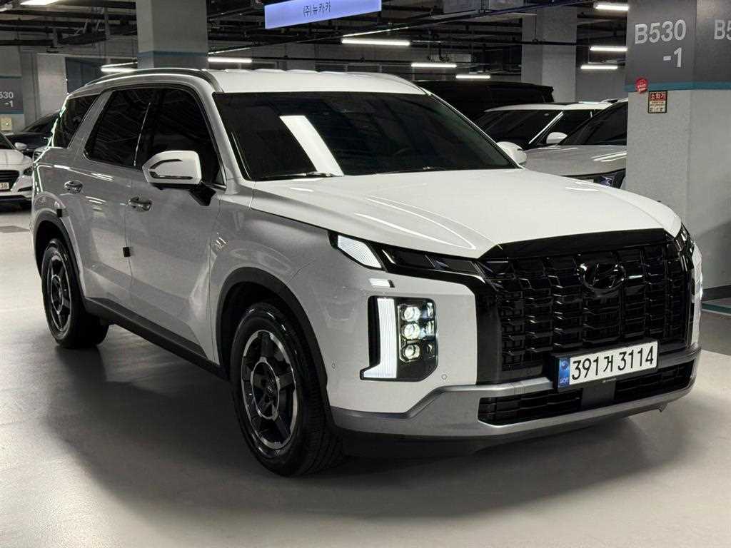 HYUNDAI Palisade - Vista 2