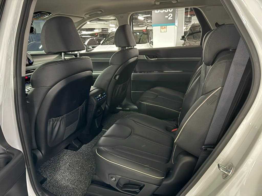 HYUNDAI Palisade - Vista 10