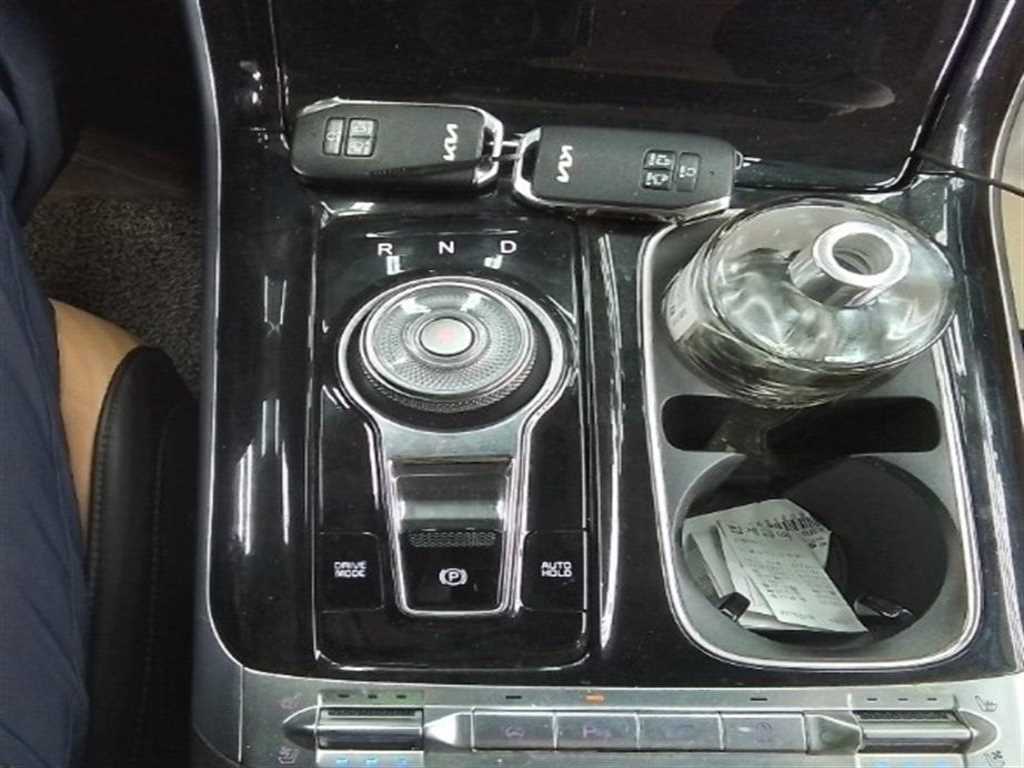 KIA Carnival - Vista 12