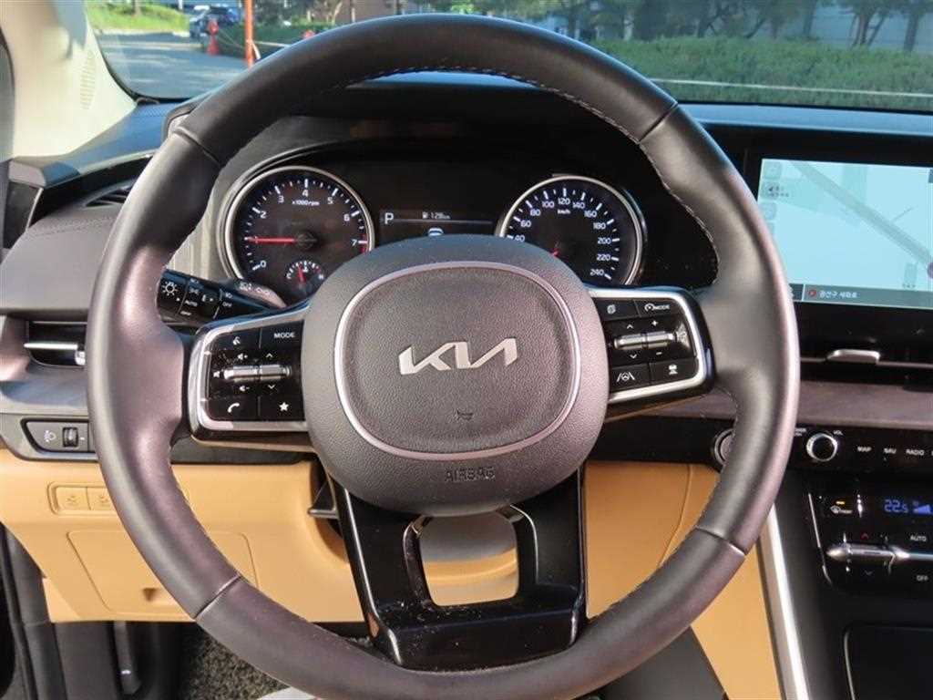 KIA Carnival - Vista 10