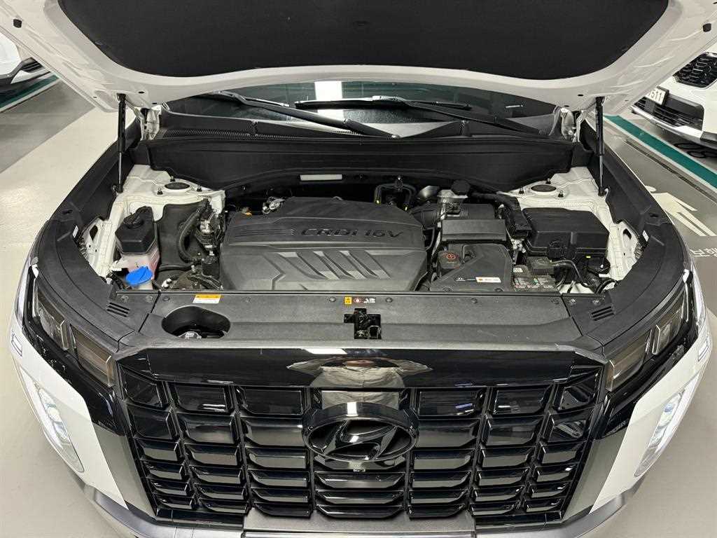 HYUNDAI Palisade - Vista 5