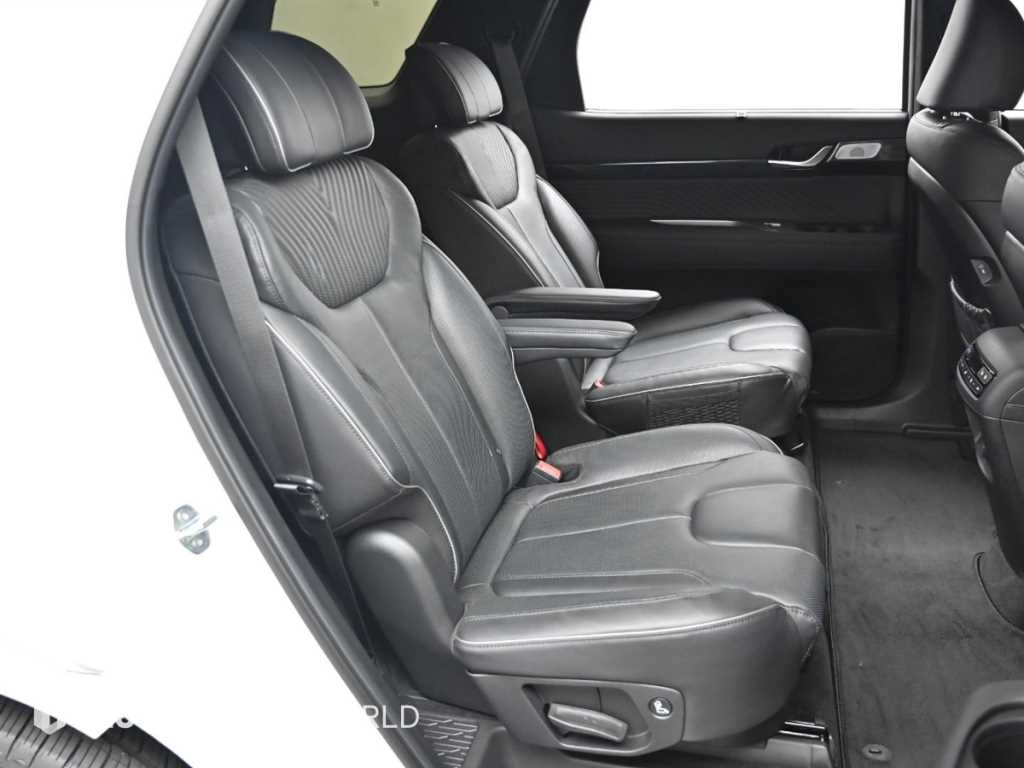 HYUNDAI Palisade - Vista 12