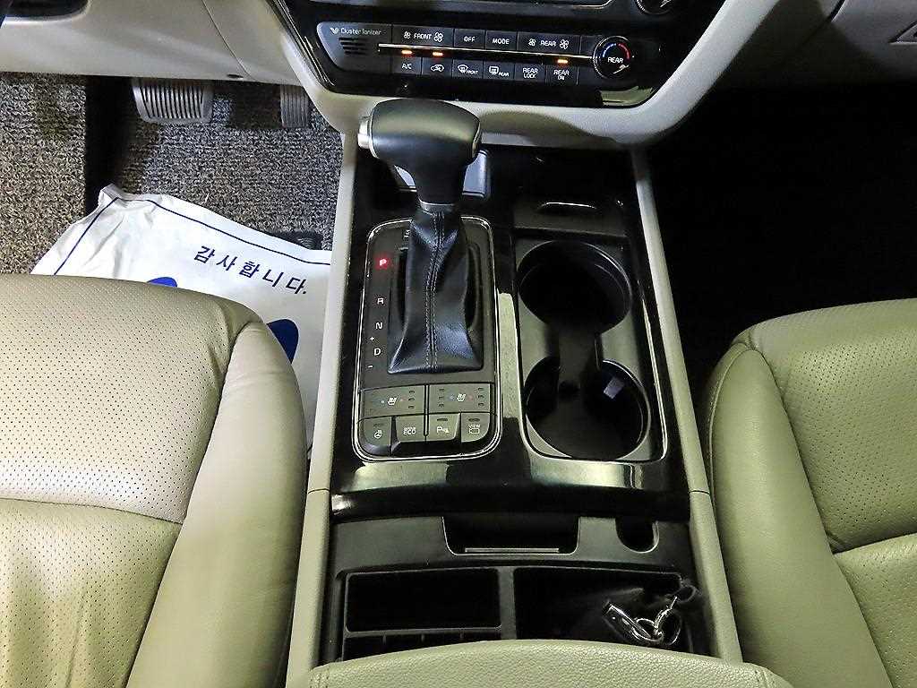 KIA Carnival - Vista 12