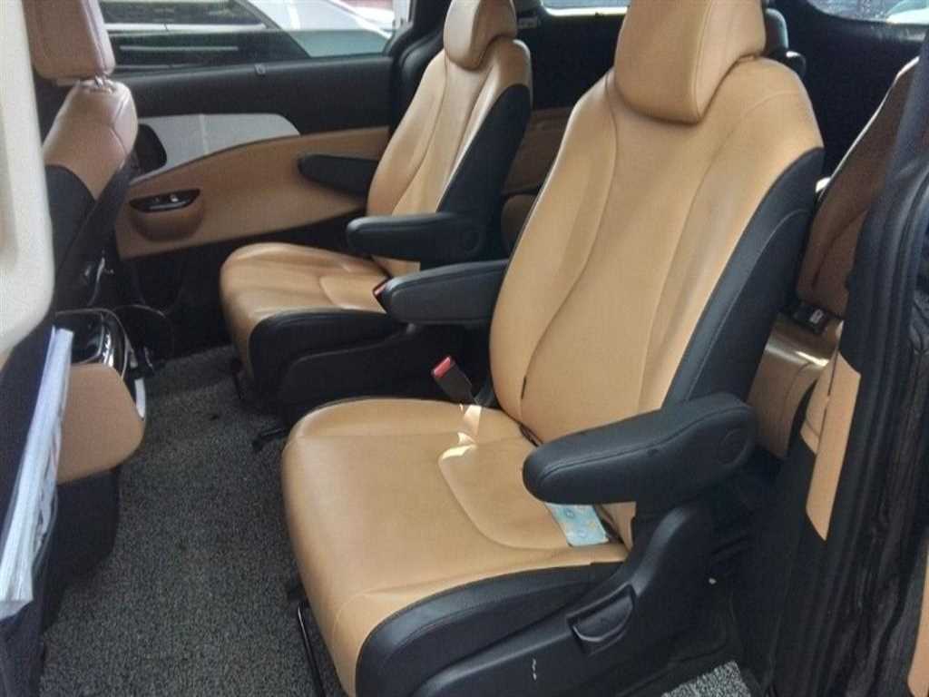 KIA Carnival - Vista 3