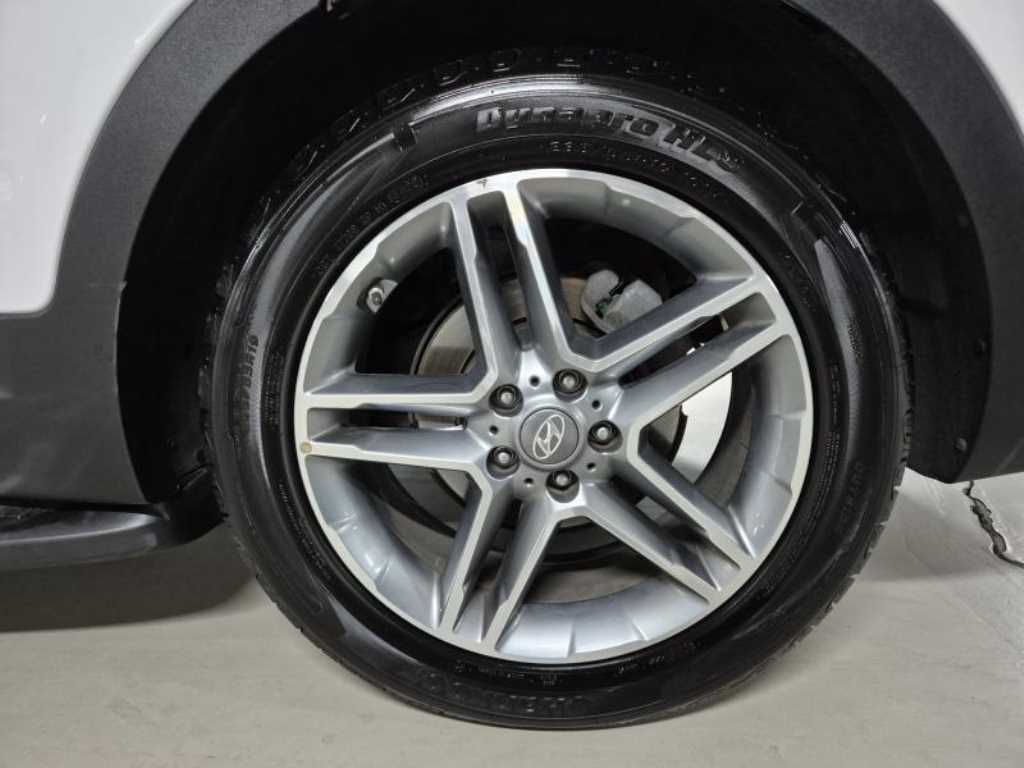 HYUNDAI Maxcruz - Vista 10