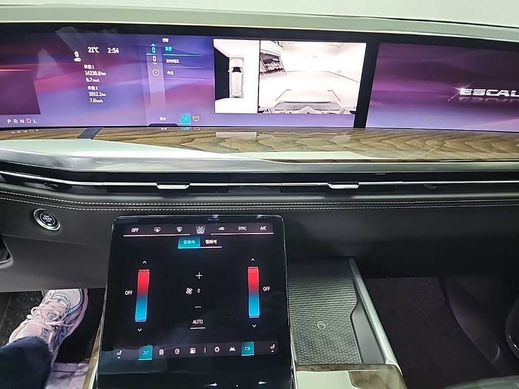 Cadillac Escalade - Vista 10