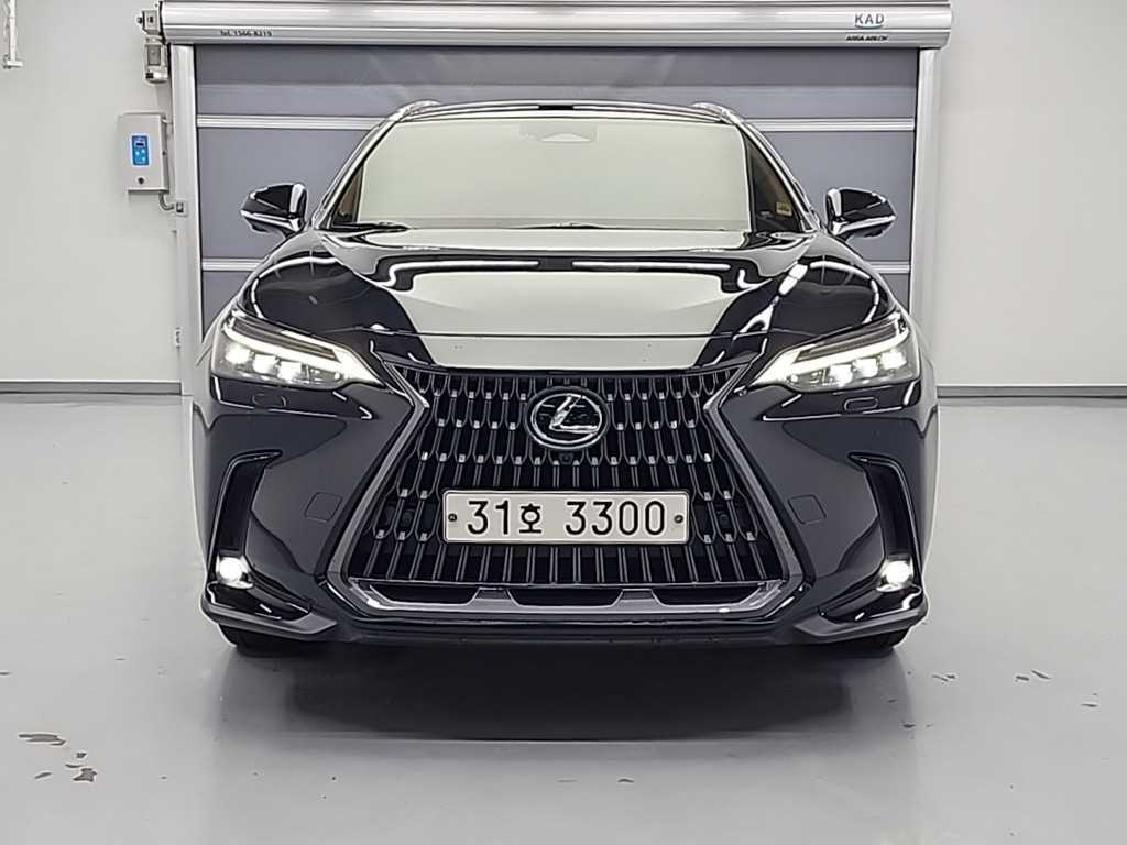 Lexus NX - Vista 2