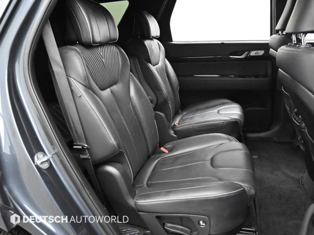HYUNDAI Palisade - Vista 12