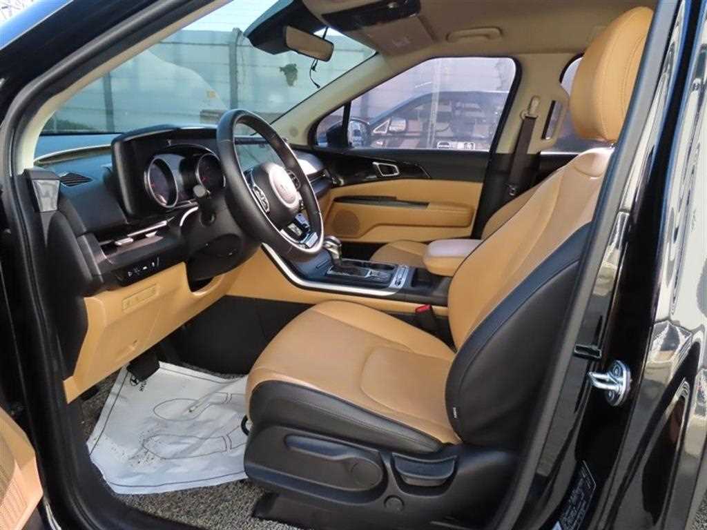 KIA Carnival - Vista 6