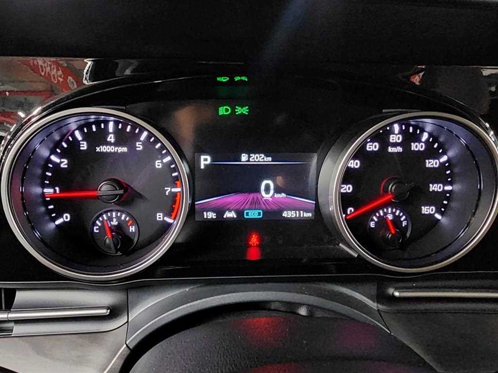 KIA Carnival - Vista 7