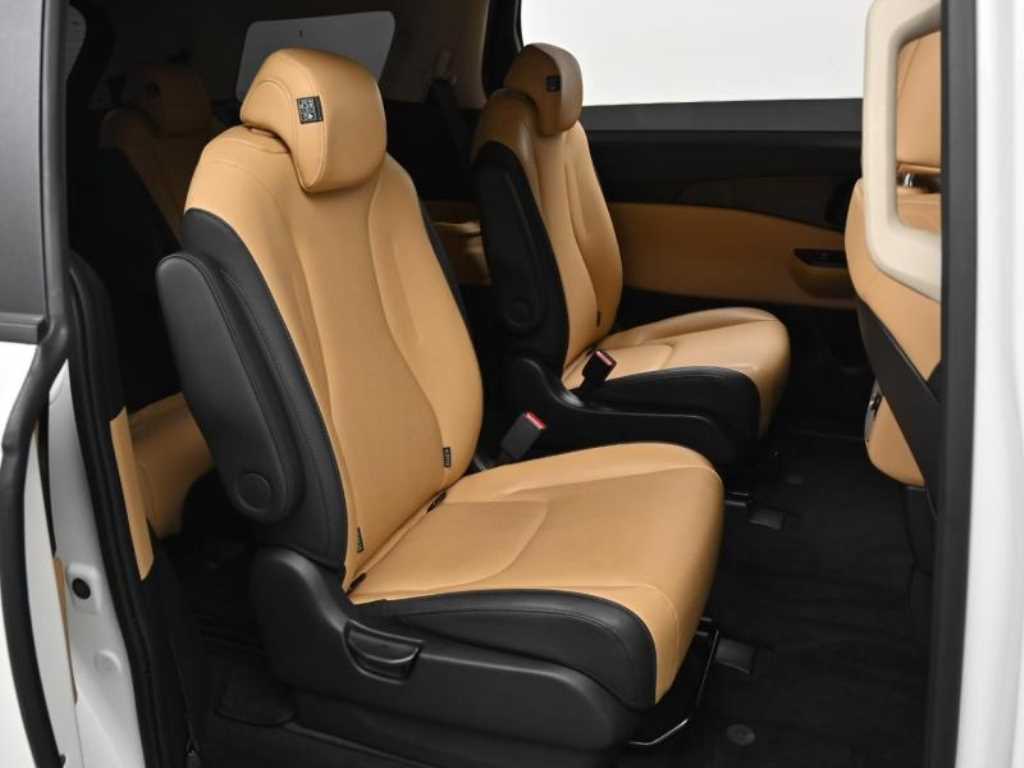 KIA Carnival - Vista 12