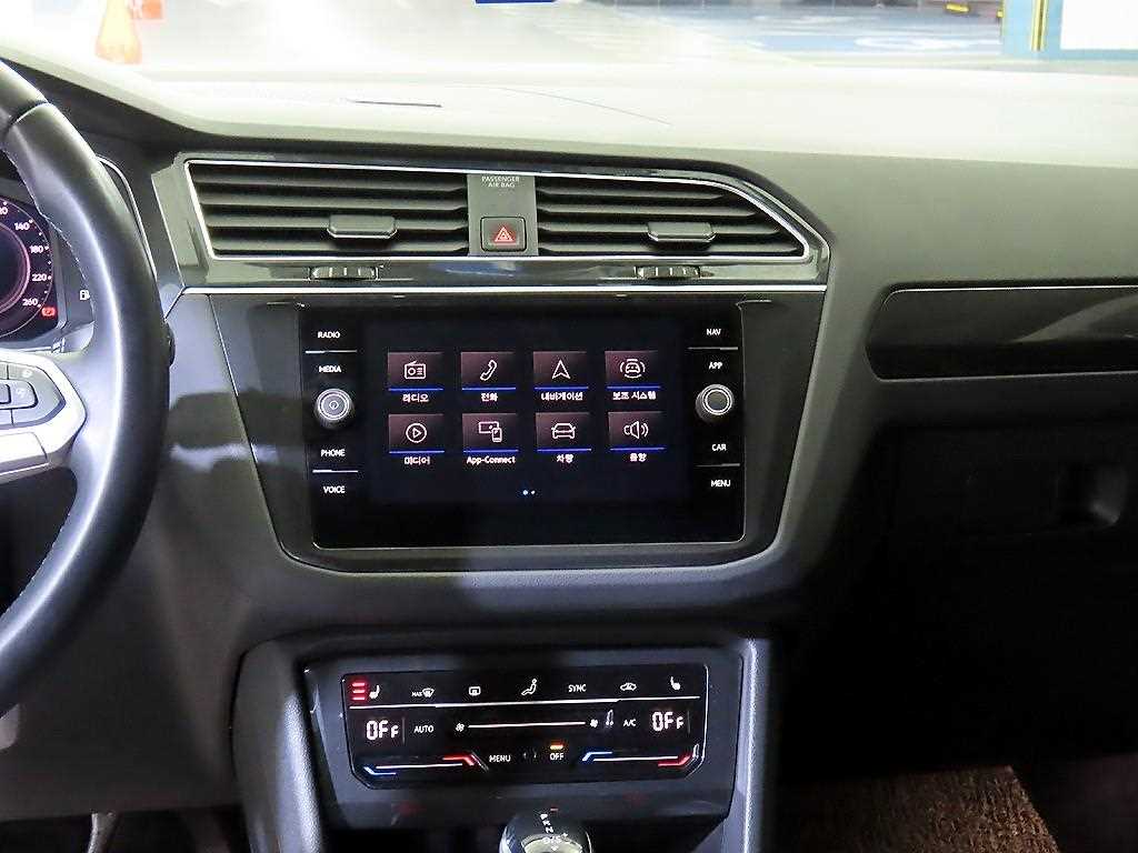 Volkswagen Tiguan - Vista 11