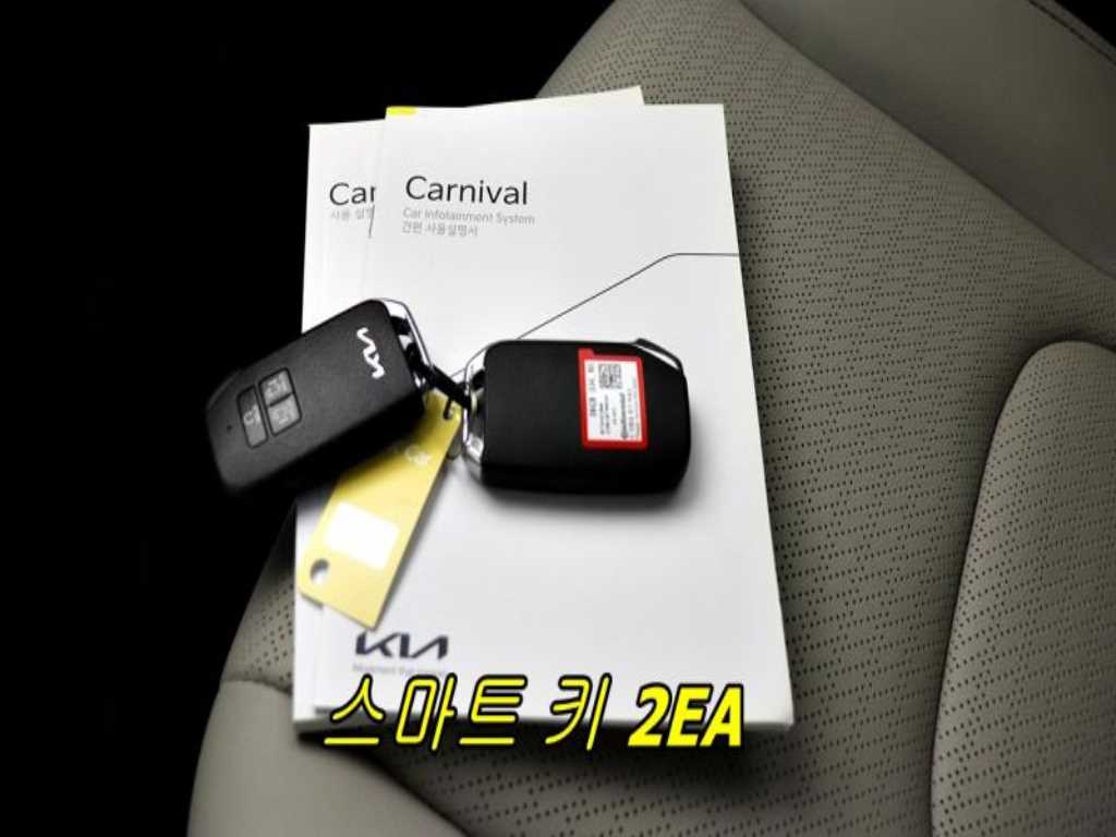 KIA Carnival - Vista 7