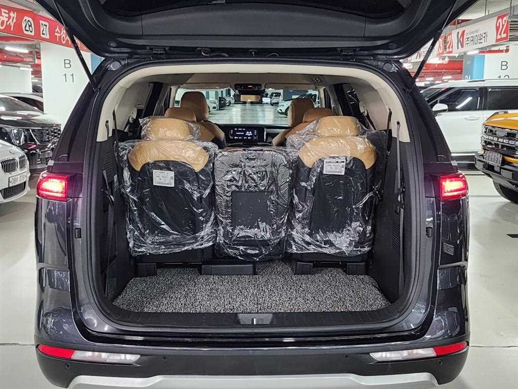 KIA Carnival - Vista 8