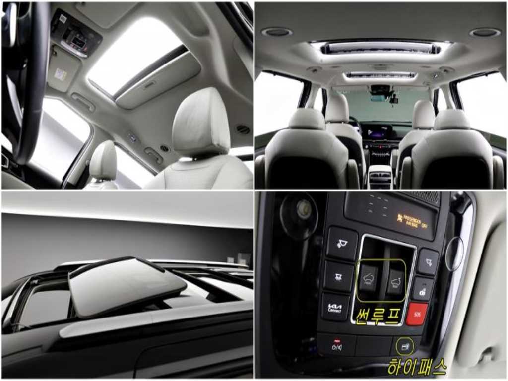 KIA Carnival - Vista 12