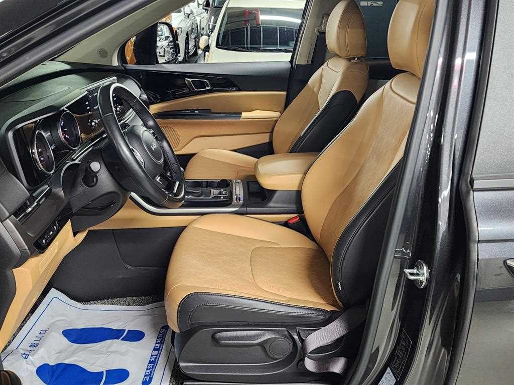 KIA Carnival - Vista 9