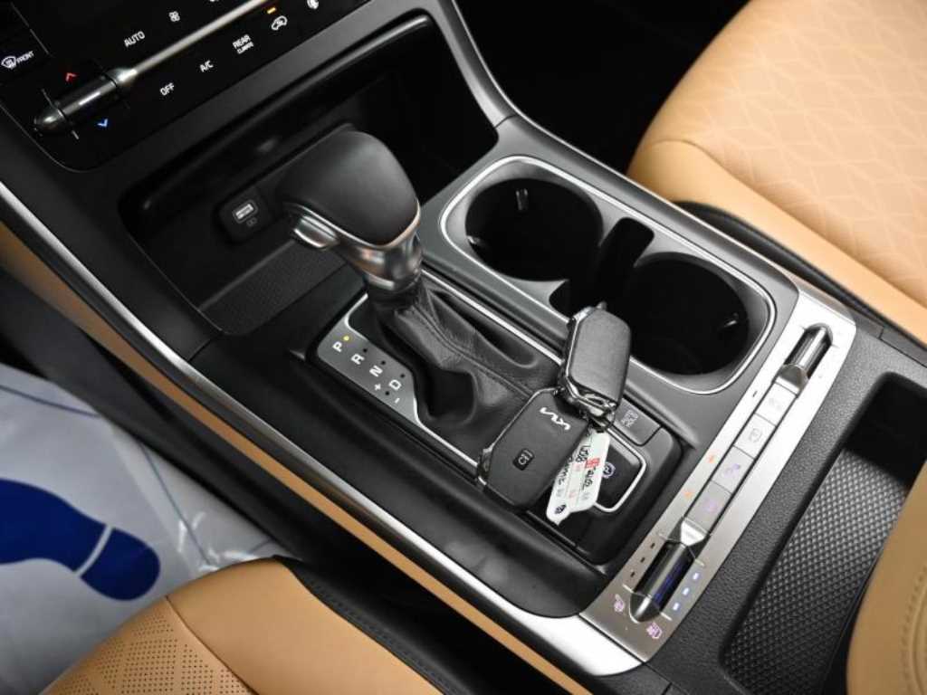 KIA Carnival - Vista 9