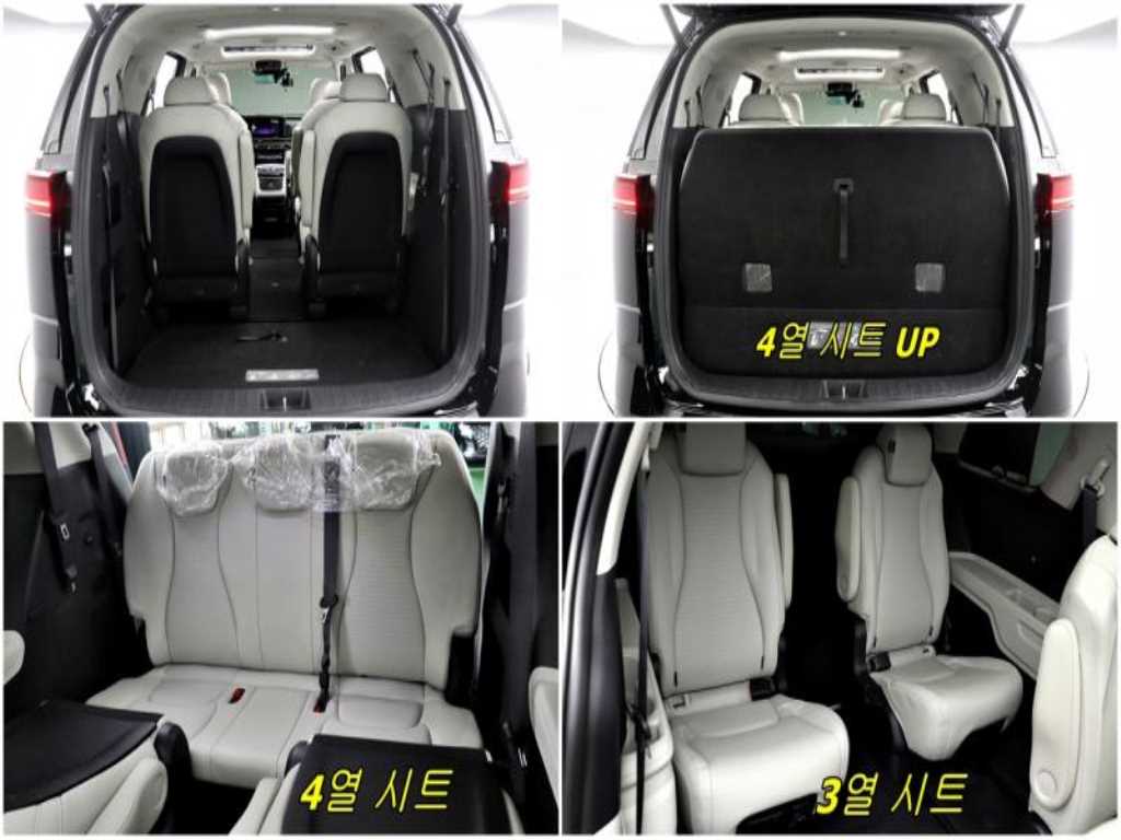 KIA Carnival - Vista 3