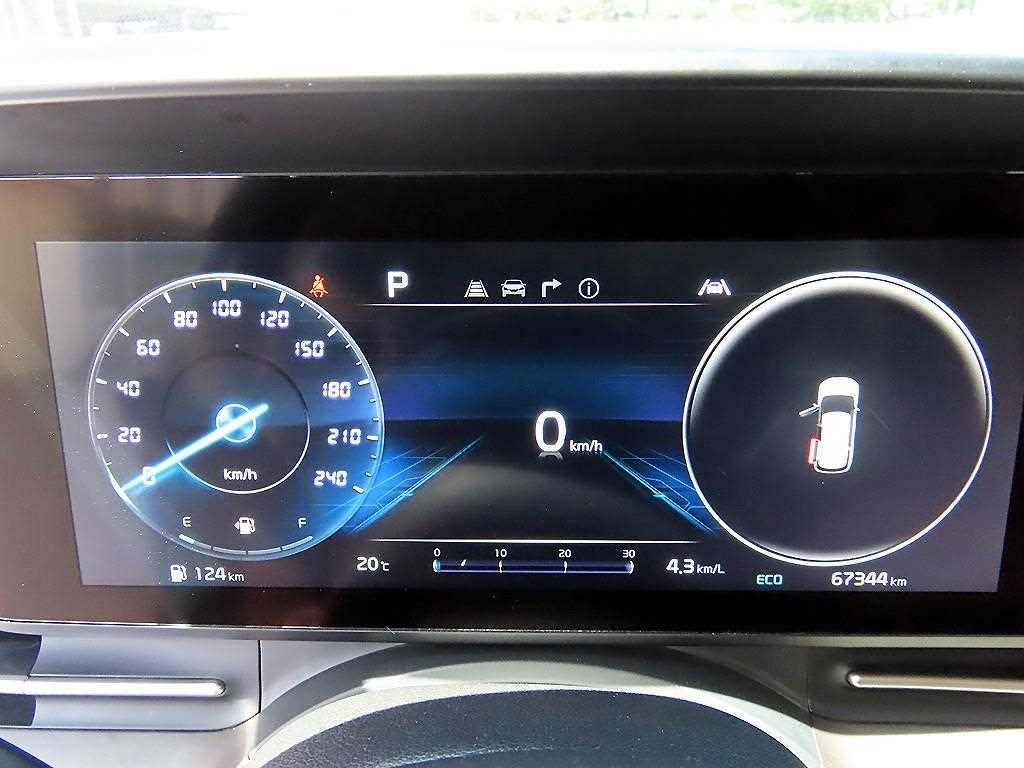 KIA Carnival - Vista 10