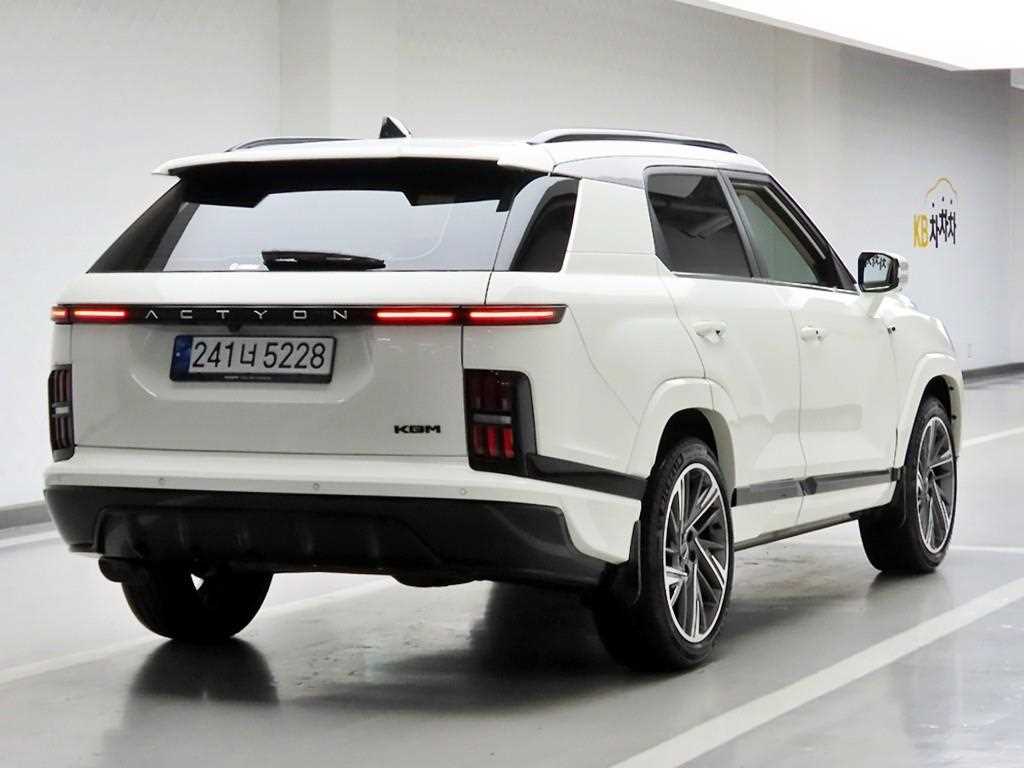 Ssangyong Action - Vista 4