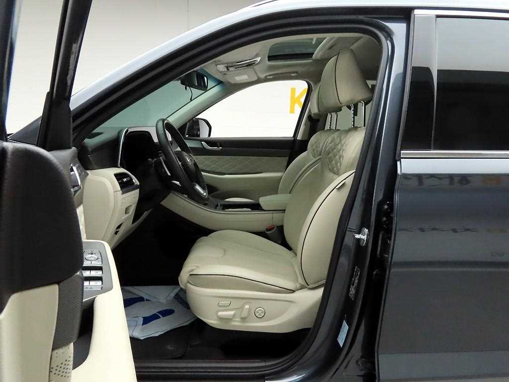 HYUNDAI Palisade - Vista 11