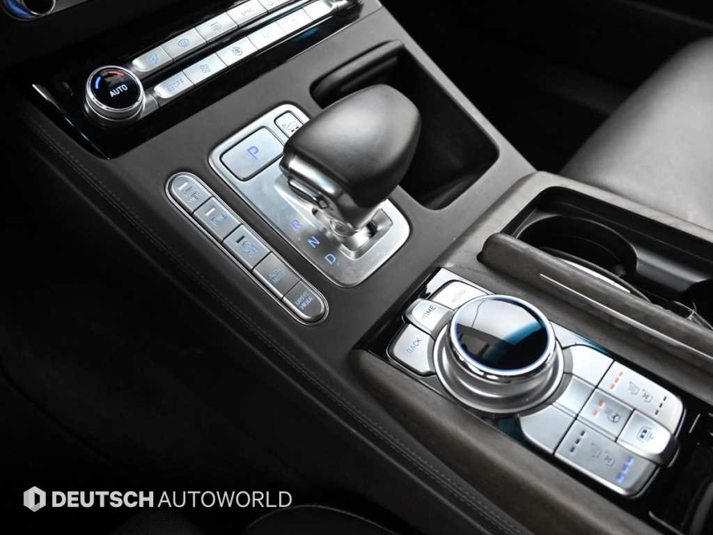 Genesis G90 - Vista 9