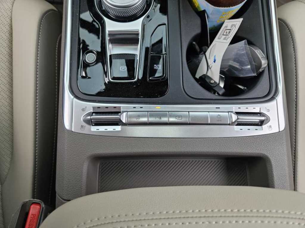 KIA Carnival - Vista 11