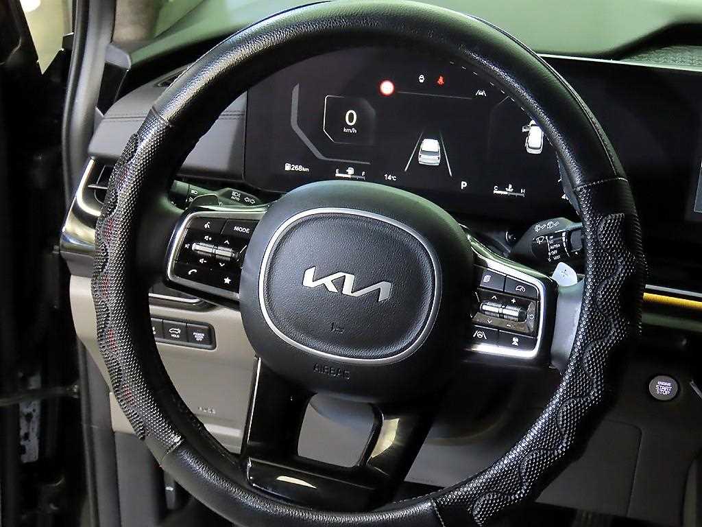 KIA Carnival - Vista 8