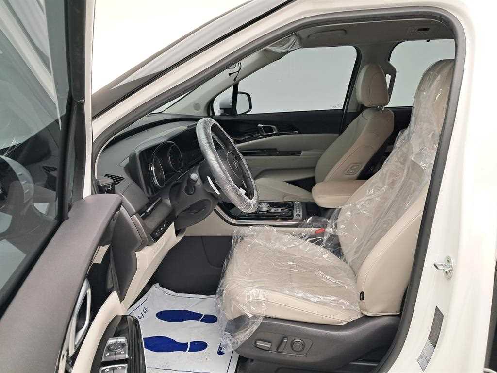 KIA Carnival - Vista 11
