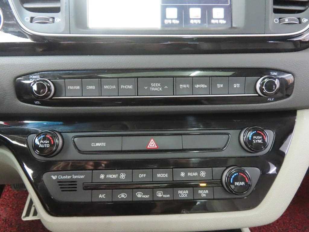 KIA Carnival - Vista 12