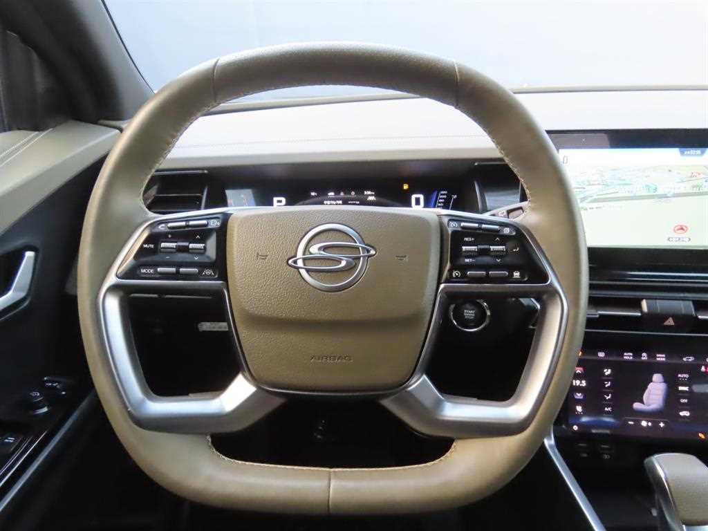 Ssangyong Torres - Vista 12