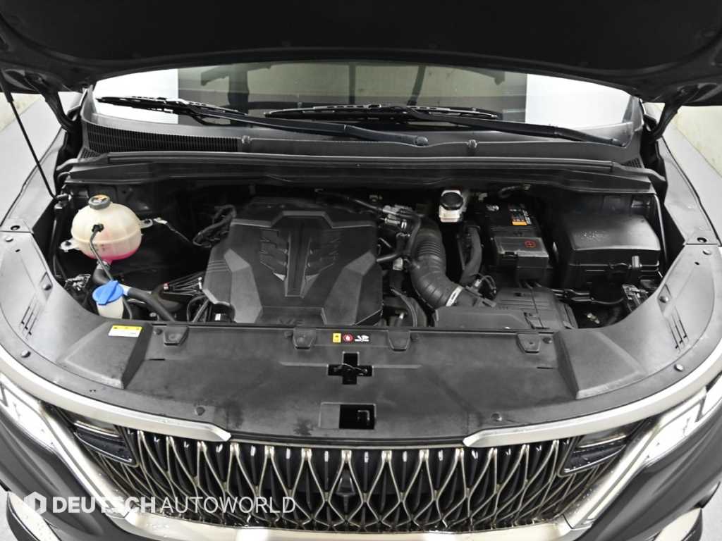 KIA Carnival - Vista 6