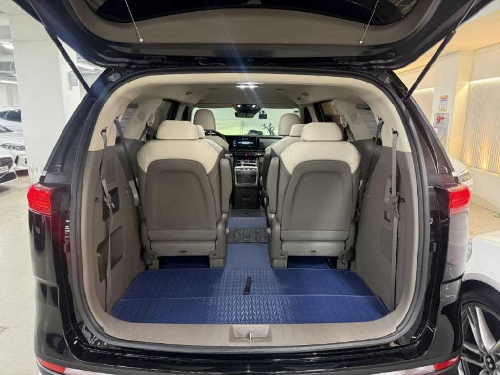 KIA Carnival - Vista 6