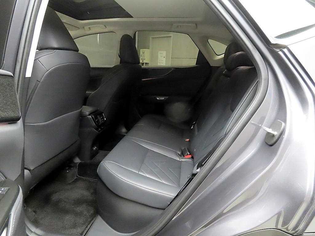 Lexus NX - Vista 6
