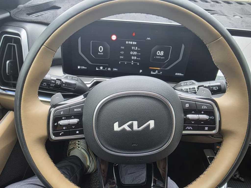 KIA Sorento - Vista 10