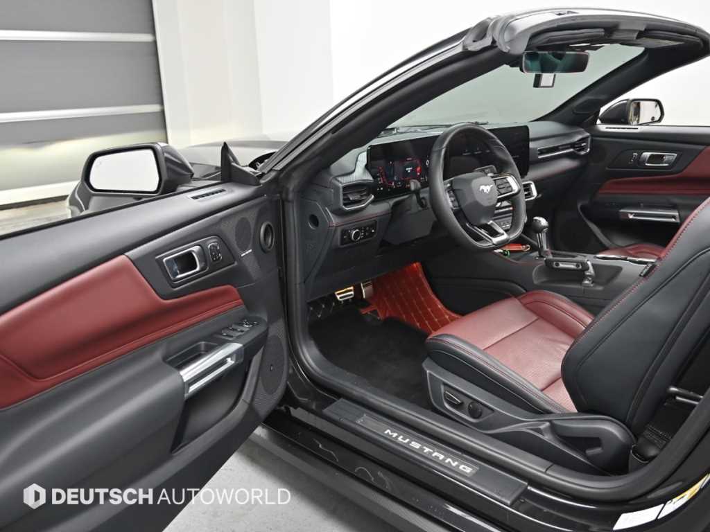 Ford Mustang - Vista 11