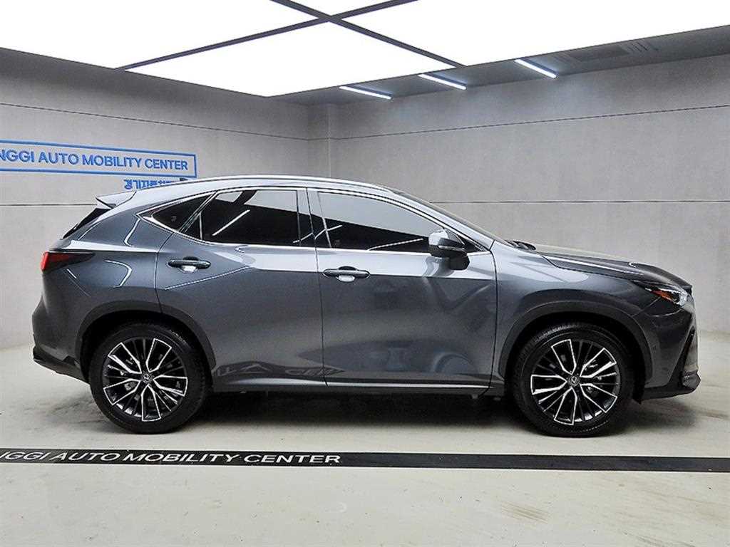 Lexus NX - Vista 2