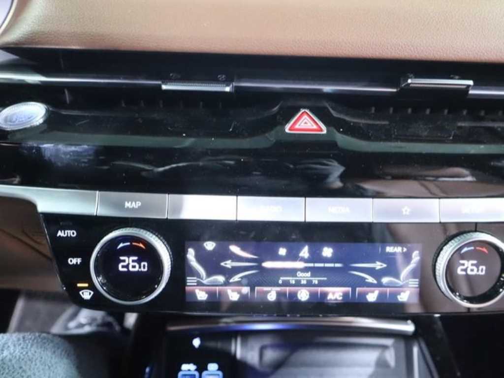 Genesis G80 - Vista 10