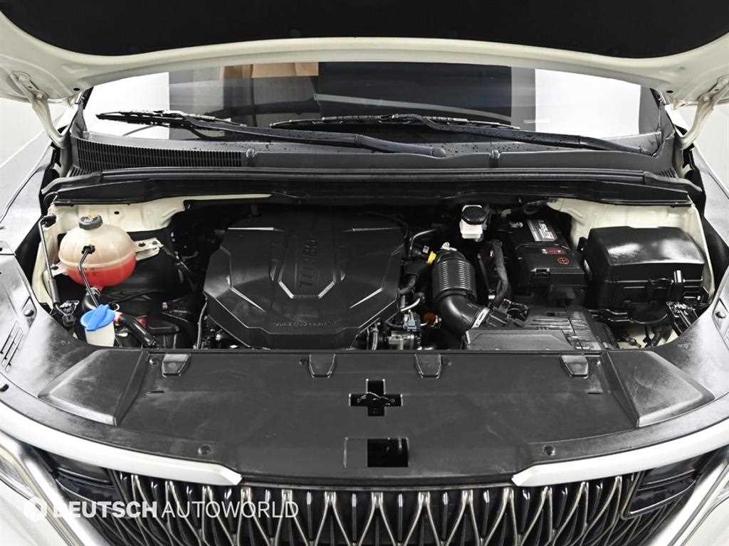 KIA Carnival - Vista 6