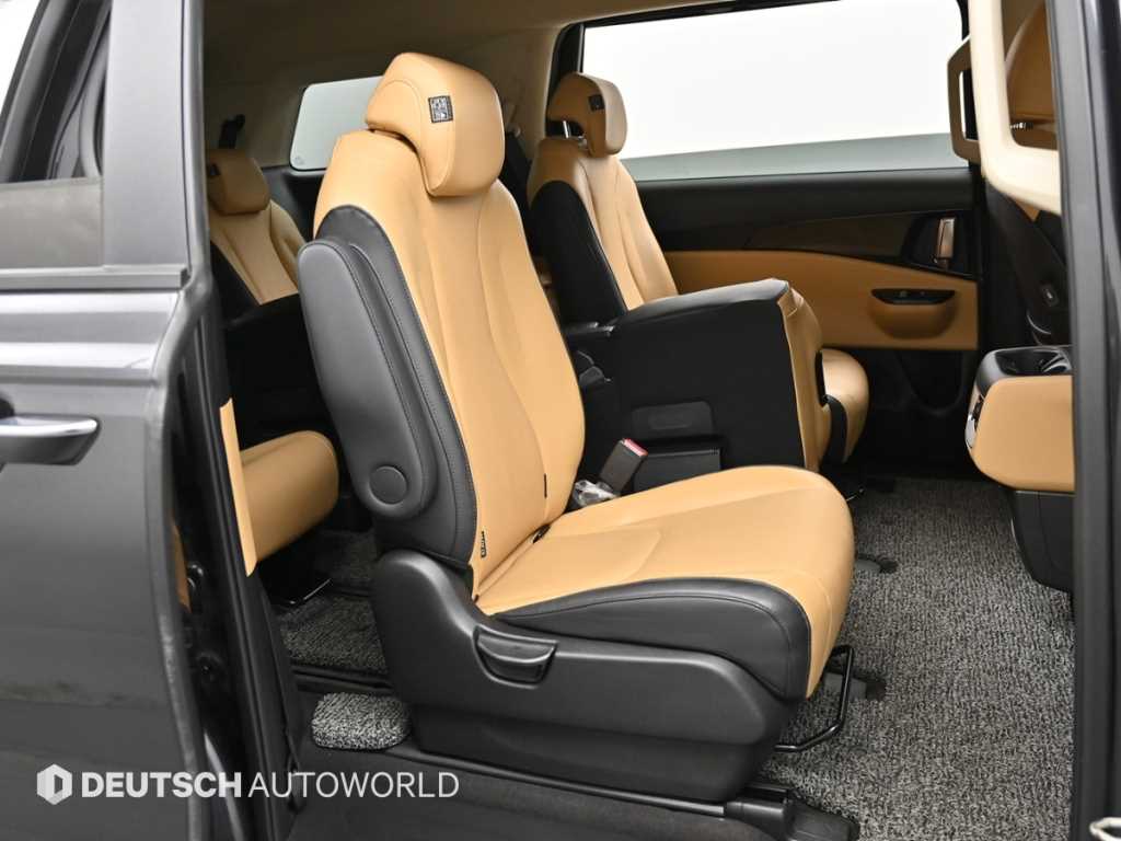KIA Carnival - Vista 12
