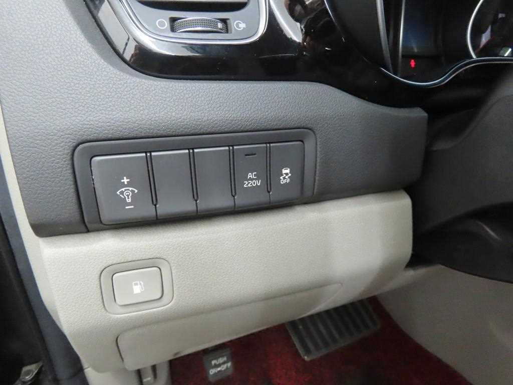 KIA Carnival - Vista 10