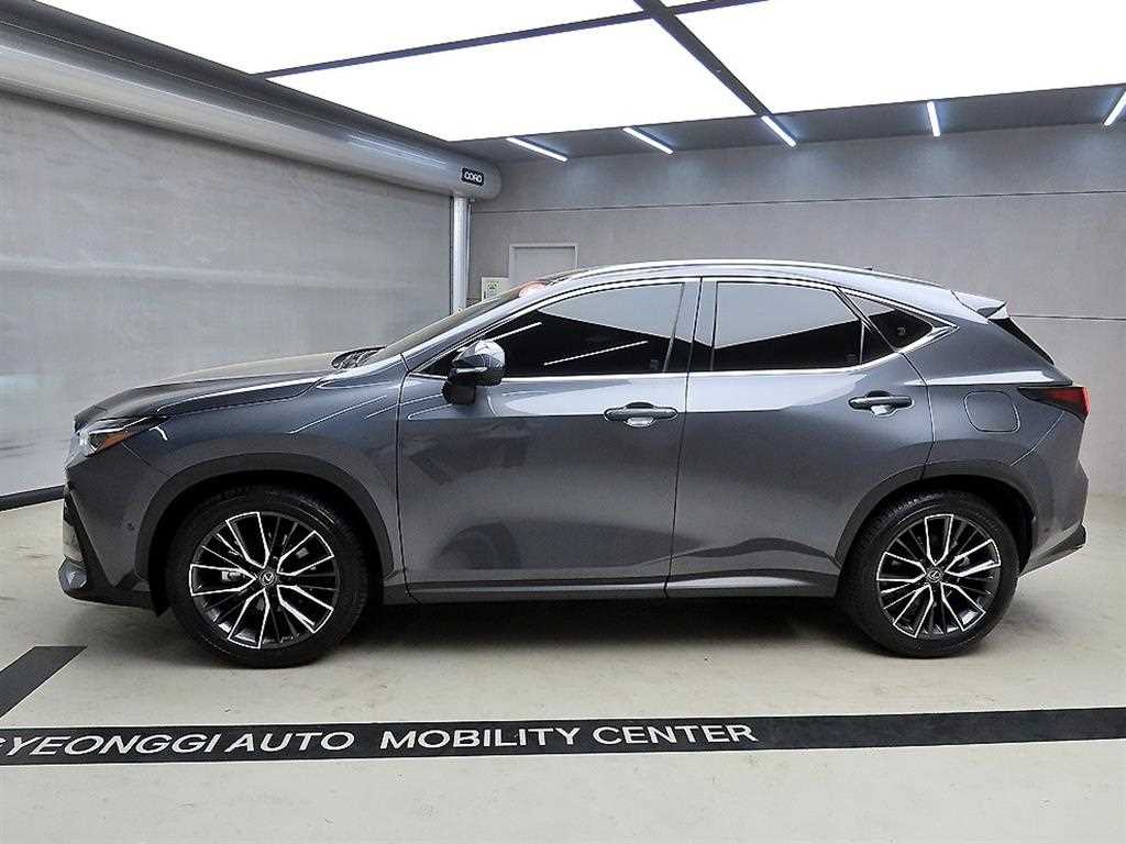 Lexus NX - Vista 4