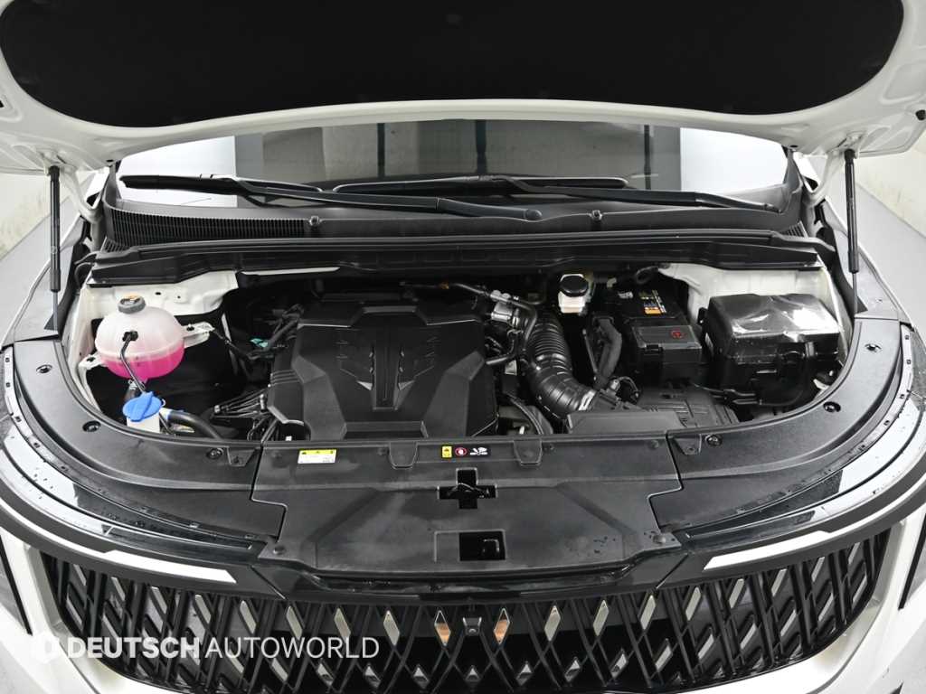 KIA Carnival - Vista 6