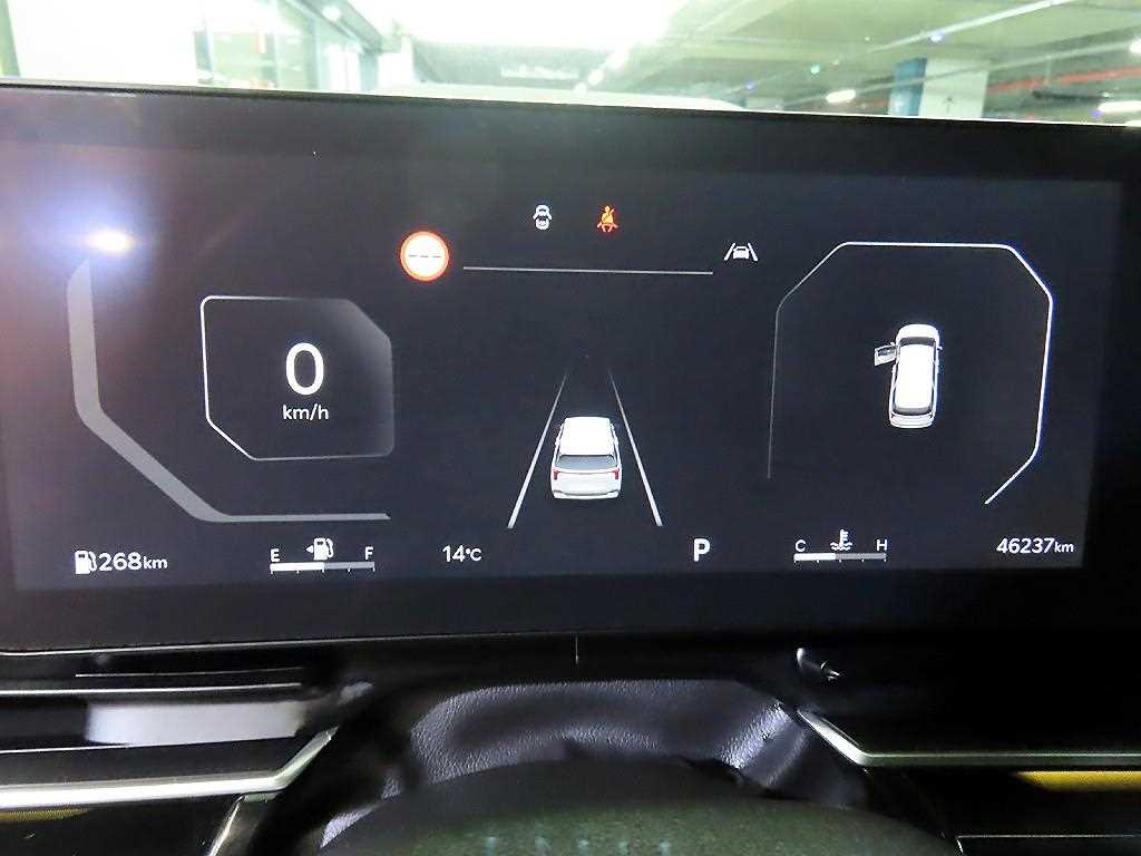 KIA Carnival - Vista 9