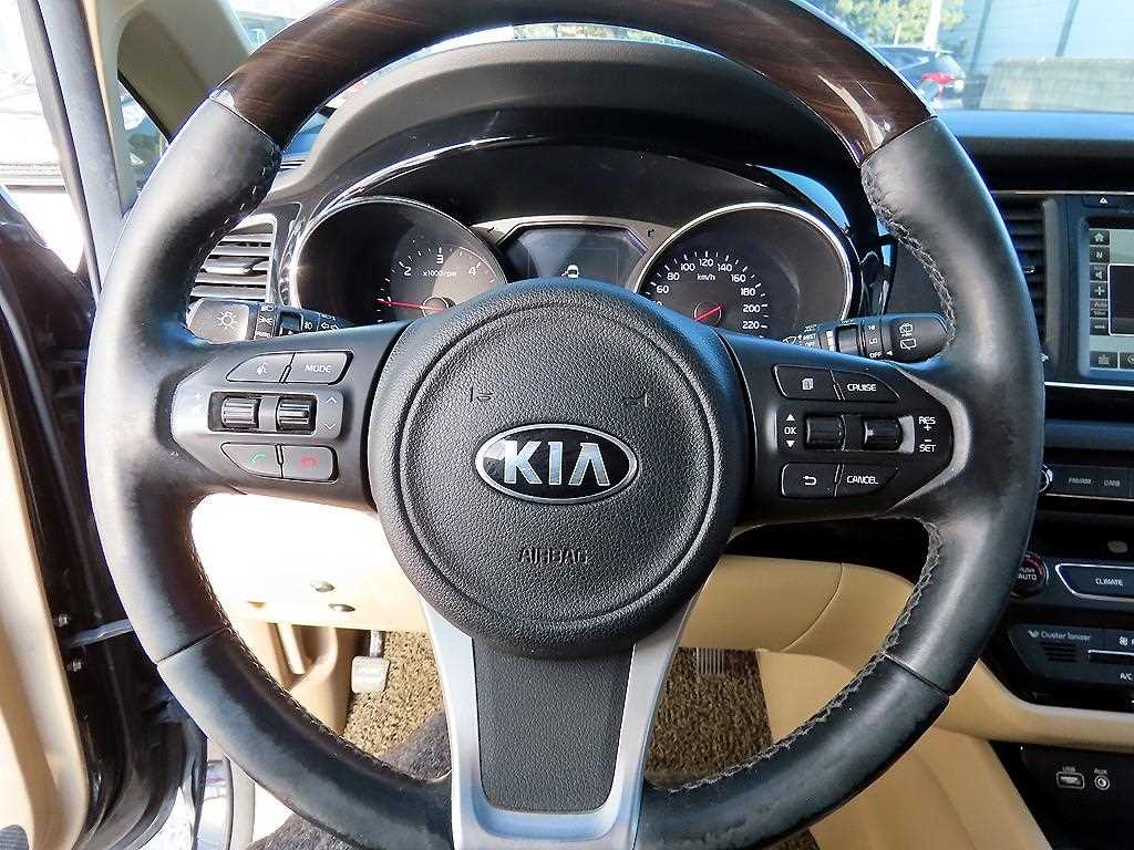 KIA Carnival - Vista 8