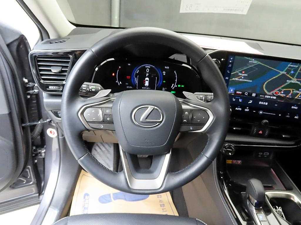 Lexus NX - Vista 9