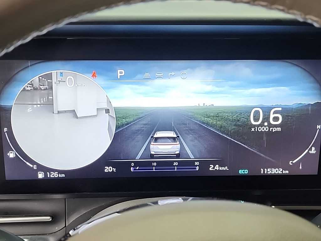 KIA Carnival - Vista 6