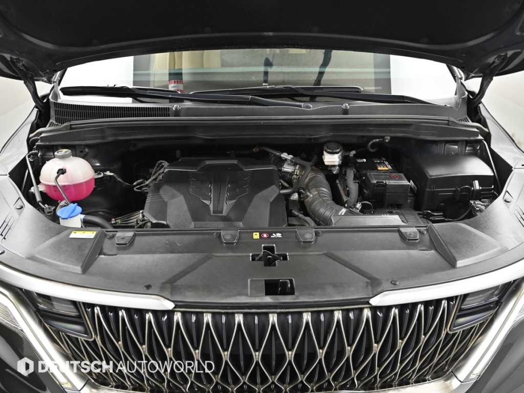 KIA Carnival - Vista 7