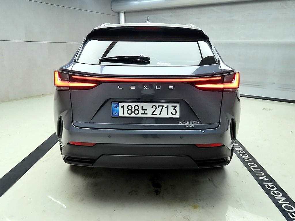 Lexus NX - Vista 3